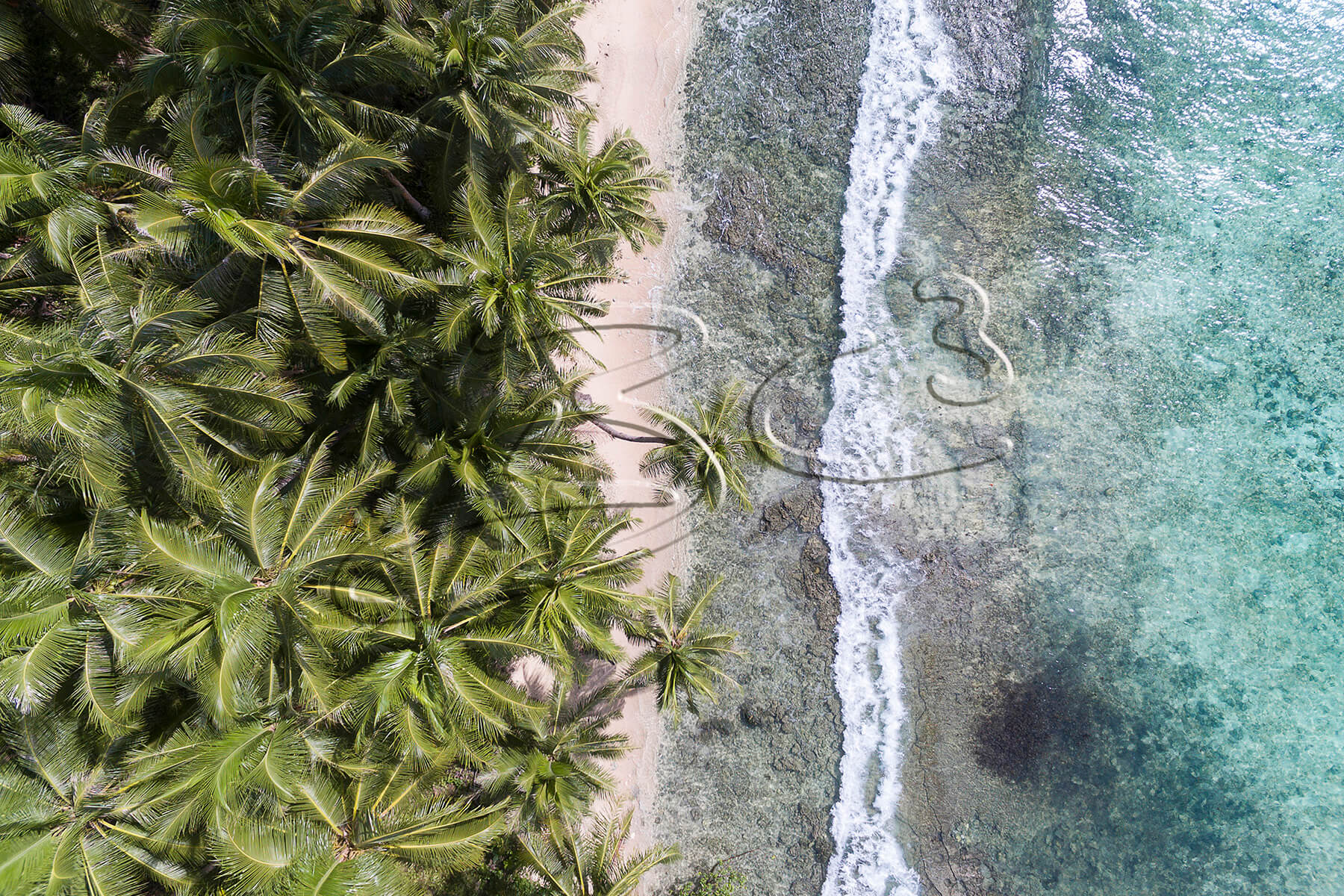 palm shores