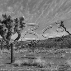 The Sentries in Black and White