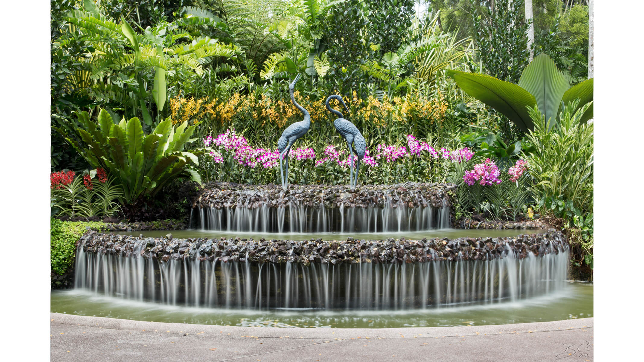 Orchid Fountain